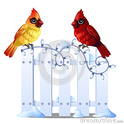 Two cute Northern Cardinal birds sit on a snowy wooden fence isolated on white background. Sample of Christmas and New Vector Illustration