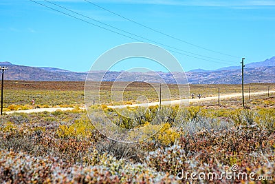 Two cyclists riding on a dirt road in the Karoo Editorial Stock Photo