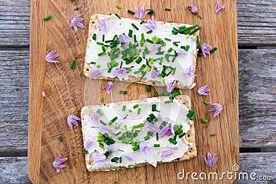 Two dairy and lactose-free vegan cream cheese spread made from c Stock Photo