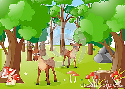 Two deers in the forest Vector Illustration