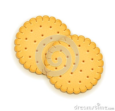 Two delicious round biscuit. Vector Illustration