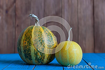 Two different pumpkins - one of autumn symbol, on Stock Photo