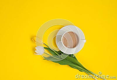 Two different tulips and coffee cup Stock Photo