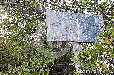 Two direction old wooden sign Stock Photo