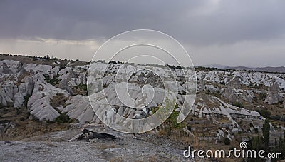 Two dogs looking at valley in stormy weather, Cappadoccia Stock Photo