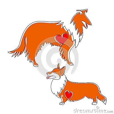 Two dogs in the style of linear art. Breed of dogs collie and Pembroke Welsh Corgi. Vector Illustration