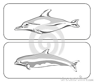 Two dolphins Vector Illustration