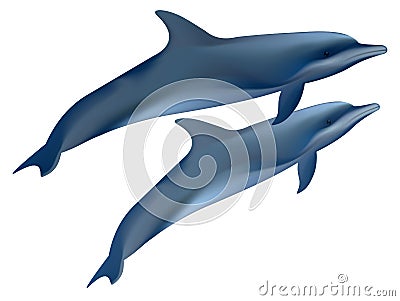 Two dolphins. Vector Illustration