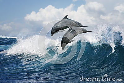 Two dolphins jumping over wave Stock Photo