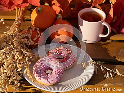 Two donuts with pink icing are on a plate. Nearby lies a bouquet of vines, Stock Photo