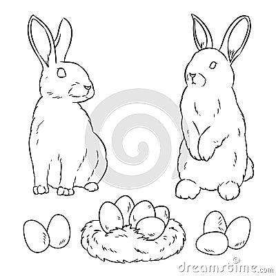 Two easter rabbits and easter eggs. Cartoon image doodle for coloring. Lineart sketch Vector Illustration