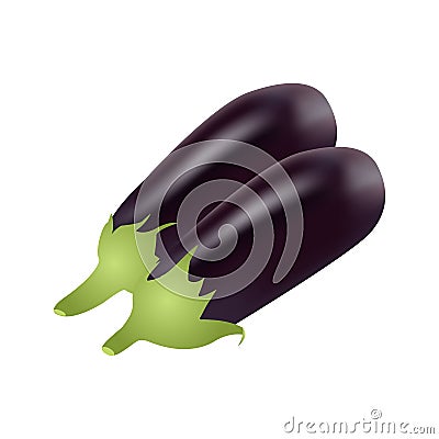 Two realistic eggplants on white background. Vector Illustration