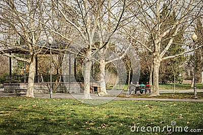 Two elderly couples sitting on a park bench watching life go by Editorial Stock Photo