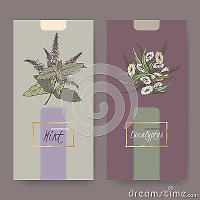 Two elegant labels with peppermint and eucalyptus bouquet color sketch. Vector Illustration