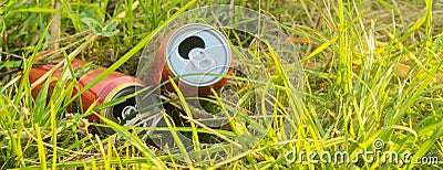 Two empty metal drink cans are lying in the grass.Environmental pollution.Selected focus, focus on right can. Stock Photo