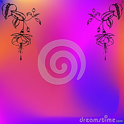 Two Engraved fuchsia flowesr Black Vector Illustration