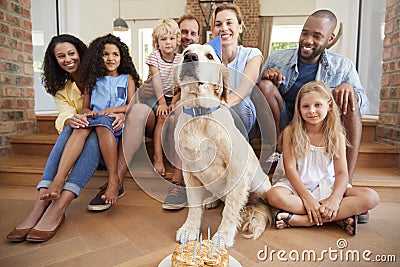 Two families celebrating pet dogï¿½s birthday at home Stock Photo