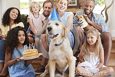 Two families celebrating pet dogï¿½s birthday at home Stock Photo