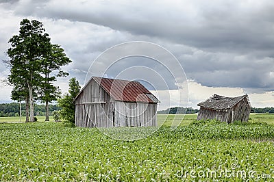 Two Farm Sheds In Ohio Stock Photo