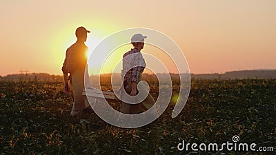 Two farmers carry a heavy box with vegetables across the field Stock Photo