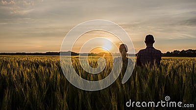 Two farmers, a man and a woman, are looking forward to the sunset over a field of wheat. Teamwork in agribusiness Stock Photo