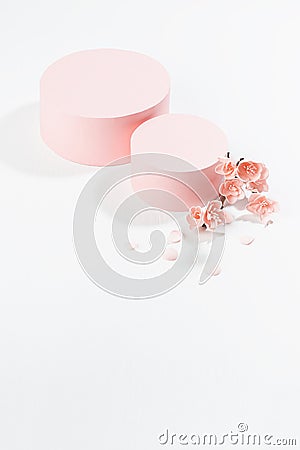 Two fashion spring cylinder podiums mockup with twig of gentle pink sakura flowers, petals in sunlight with shadow Stock Photo