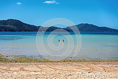 Two Females Wading In Ocean Of Tropical Island Editorial Stock Photo