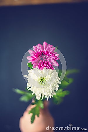 Two flowers as 8 eight number Stock Photo