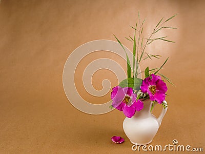 Two flowers and leaves of dog rose and some meadow grass in little white ceramic jug and lone doge rose petal on the background of Stock Photo