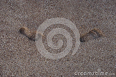 Two foot tracks on sand. Feet steps on sand. Feet step by step on seashore. Close up of foot tracks in sand. Closeup of feet steps Stock Photo