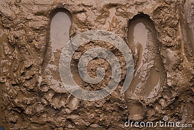 Two footprints on wet mud Stock Photo