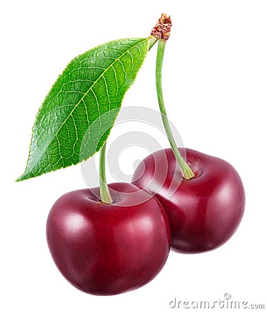 Two fresh cherries with leaf isolated on white background Stock Photo