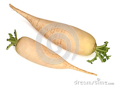 Two fresh daikon radishes isolated on white background Stock Photo