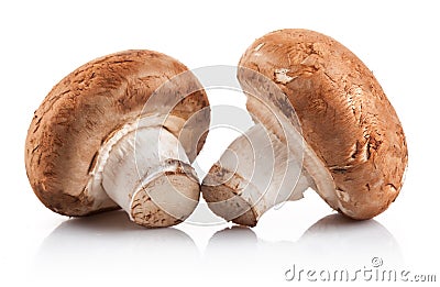 Two fresh mushroom champignon Stock Photo