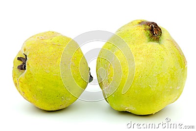 Two fresh quince fruits Stock Photo