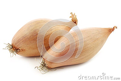 Two fresh shallots Stock Photo