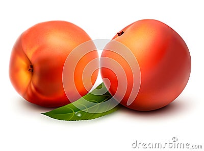 Two fresh sweet peach Vector Illustration