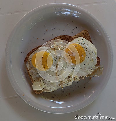 Two fried eggs on wholemeal toast. Stock Photo