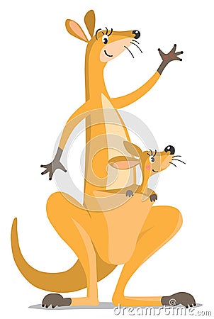 Two funny kangaroos Cartoon Illustration