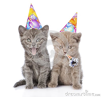 Two funny kittens with birthday hats. isolated on white background Stock Photo