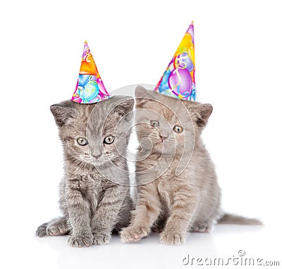 Two funny kittens with birthday hats. isolated on white background Stock Photo