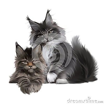 Two furry Maine Coon kittens. Watercolor drawing Stock Photo