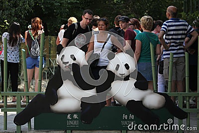 Two giant pandas (Ailuropoda melanoleuca) Editorial Stock Photo