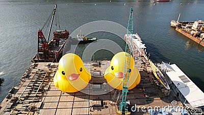 two giant Rubber duckie in hong kong Editorial Stock Photo