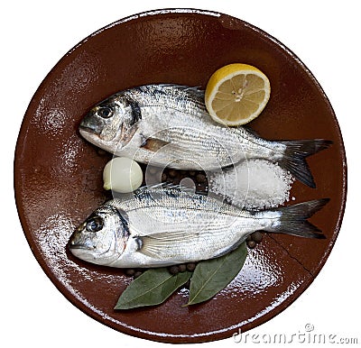 Two gilt head on ceramic plate on white Stock Photo