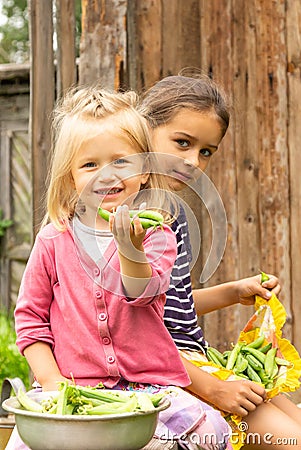Two girl sisters holding a lot of green peas pods in their hands near a bowl full of ripe pea pods and smiling Stock Photo