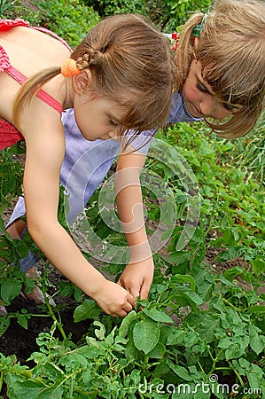 Two girls gardening Stock Photo