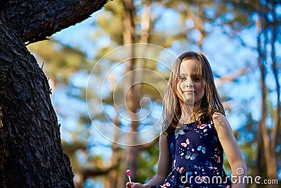 Two girls in summer dresses are climbing a tree in the forest Stock Photo