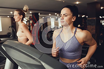 Two girls train in the gym. One girl teaches a friend and helps her with training Stock Photo