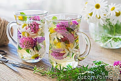 Two glass cups of healthy herbal tea. Medicinal herbs on table. Stock Photo